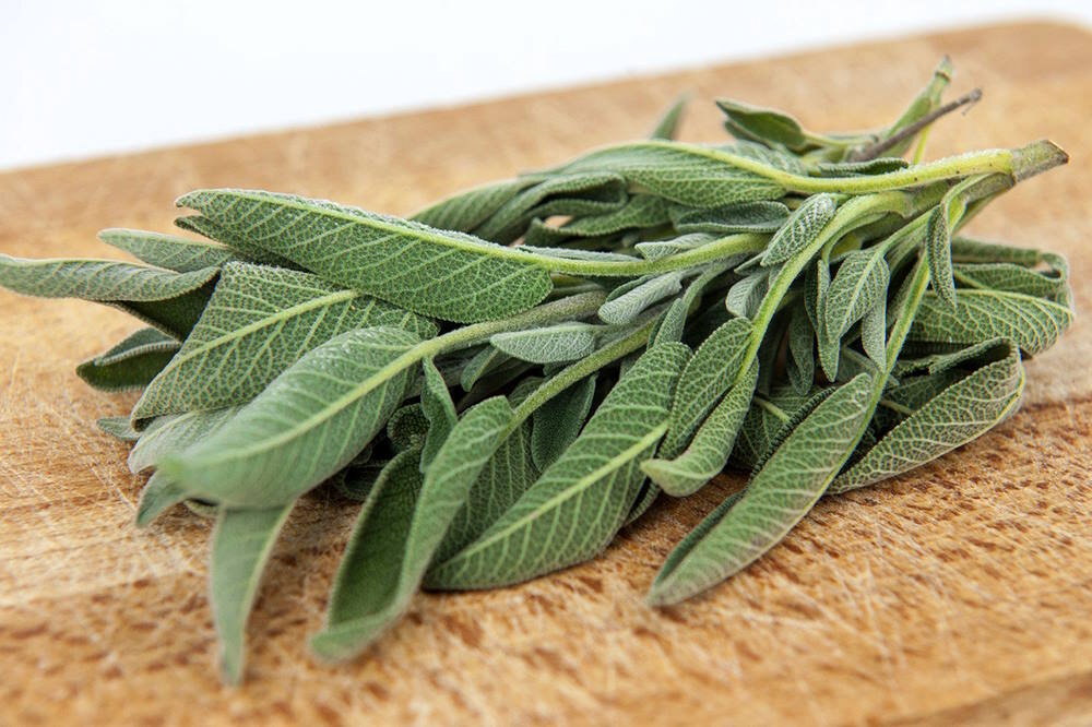 Шалфей Sage