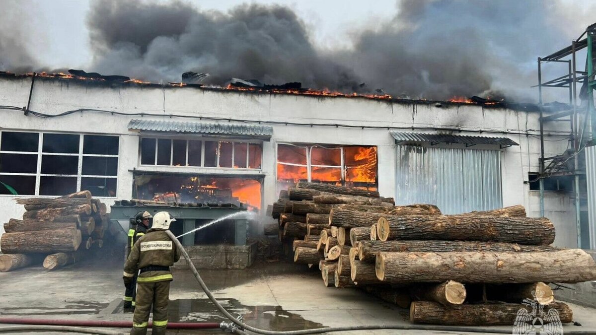     Лесозаводская межрайонная прокуратура организовала проверку по факту пожара на лесоперерабатывающем предприятии в Приморье. Возгорание произошло в одном из цехов организации.