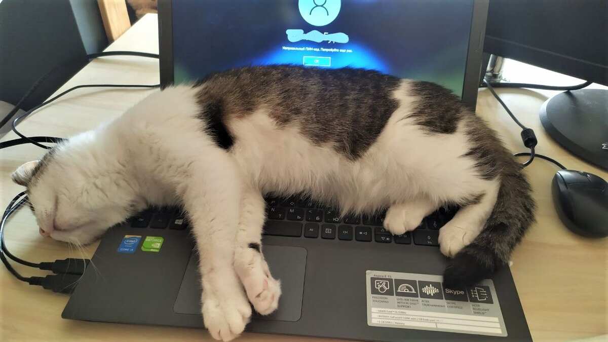 Лола, уработалась