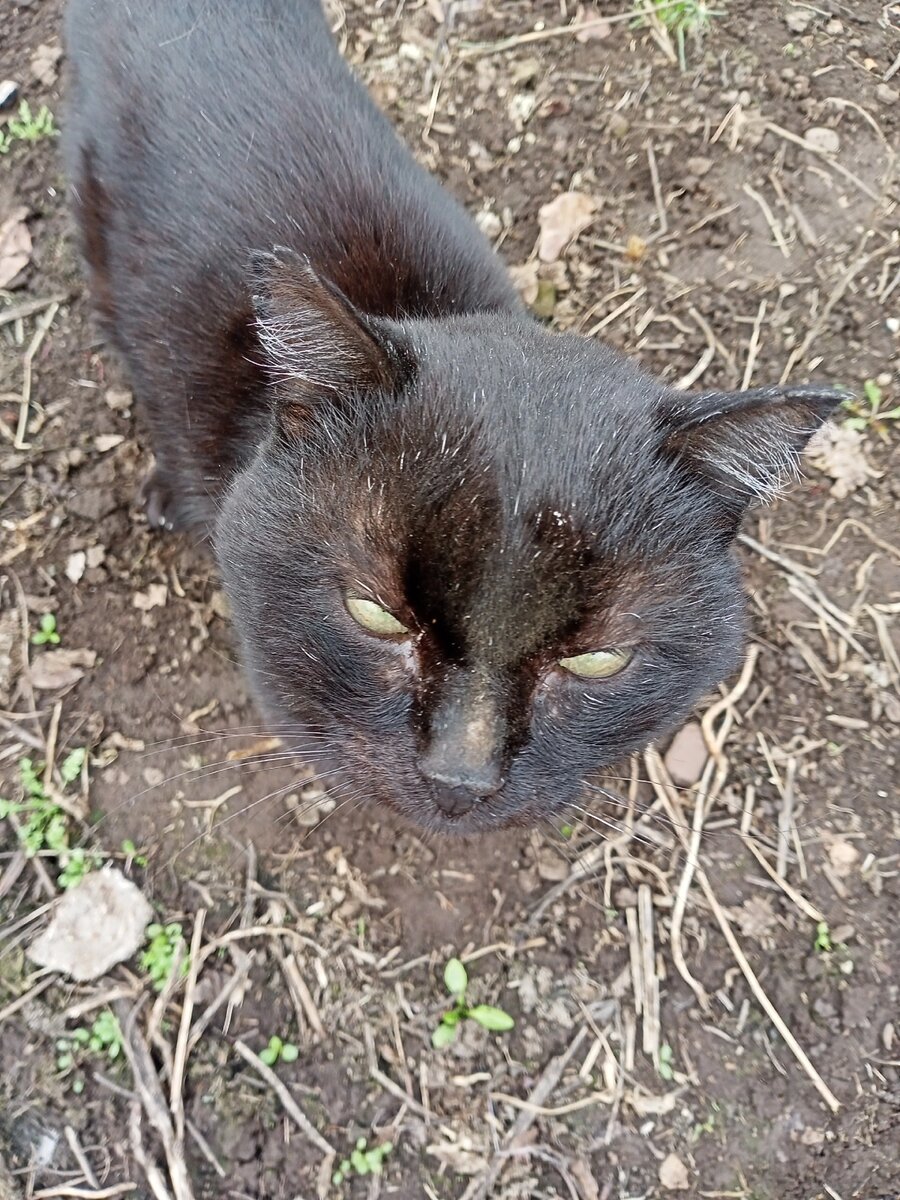 Слова Галины о котике👇🏻