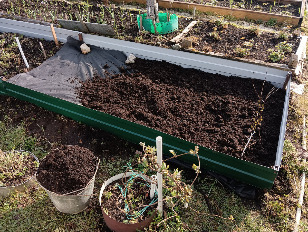 Формирую грядки. Для зелени, в принципе. Больше особо ничего не сажаем. 