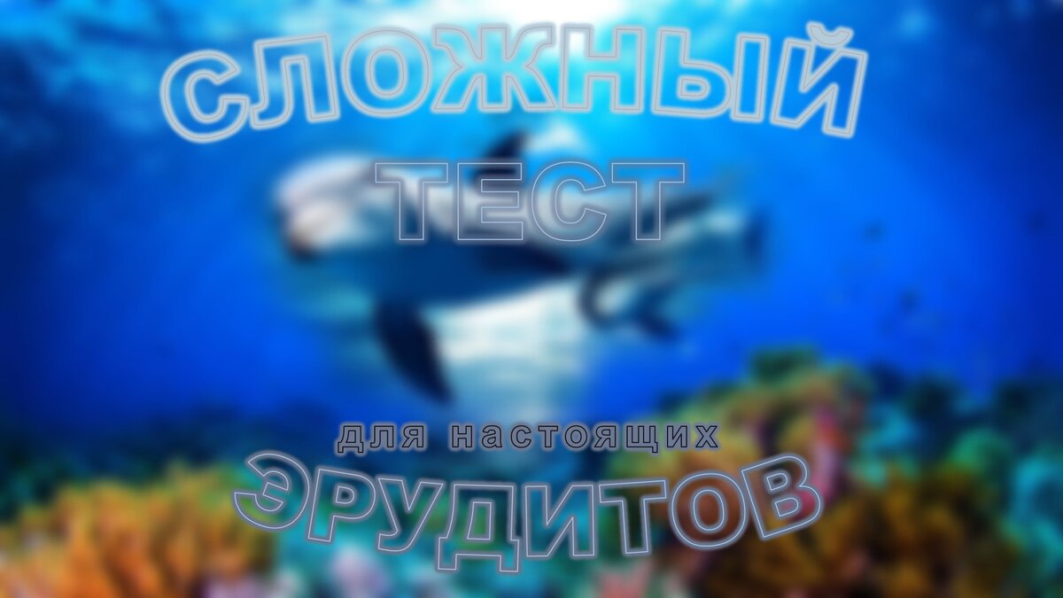 Тест №104