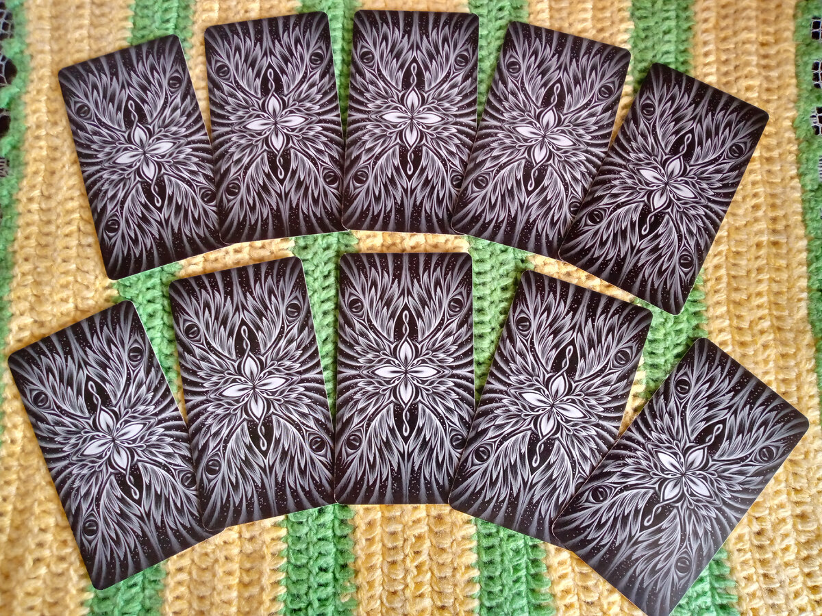 Десять закрытых вариантов прогноза. Выбирайте свой слева-направо - верхний ряд: позиции 1-5, нижний ряд: позиции 6-10. Фото автора