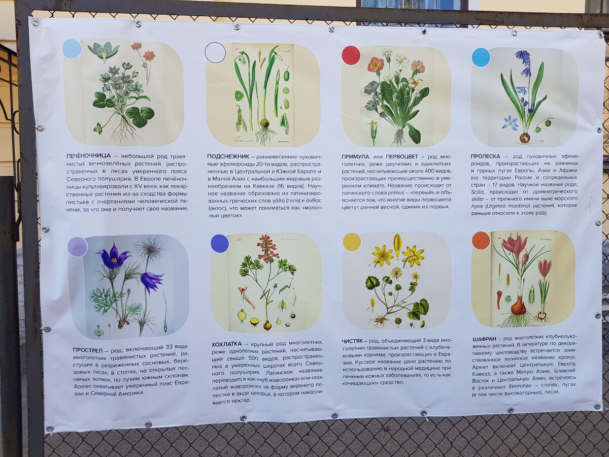 Фотография автора