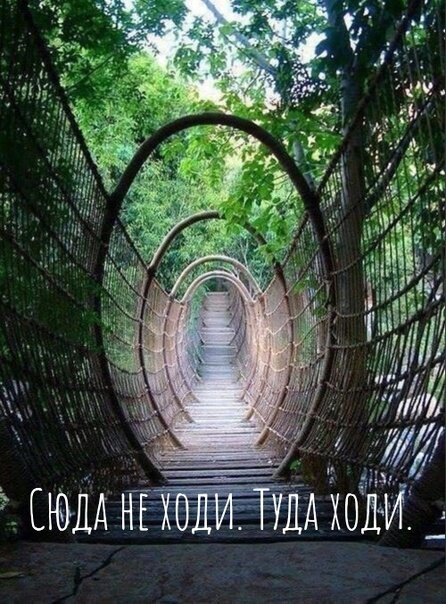 туда не ходи