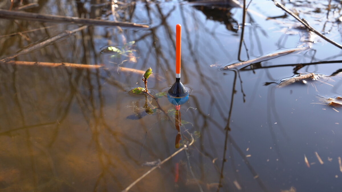 Поплавок в залитых полях