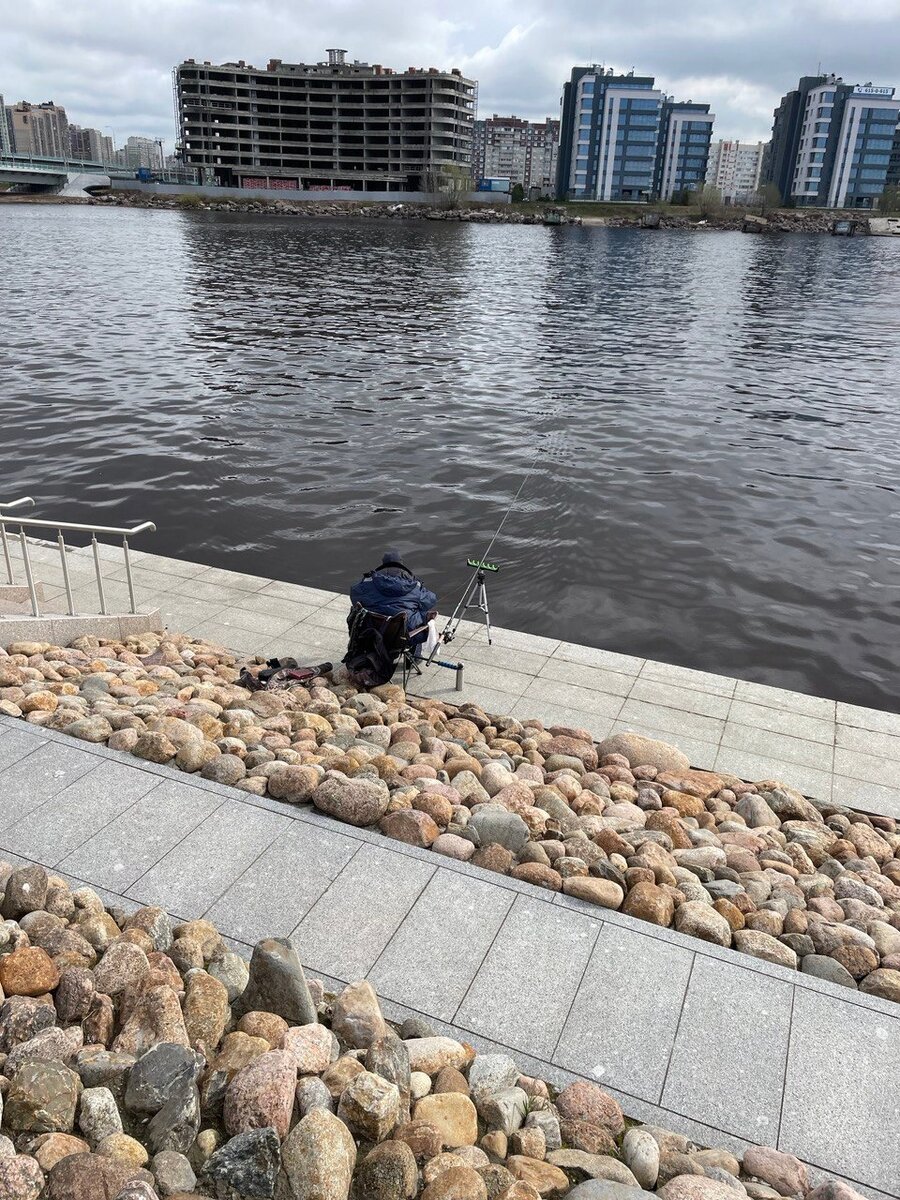 Фото: Максим Бобков