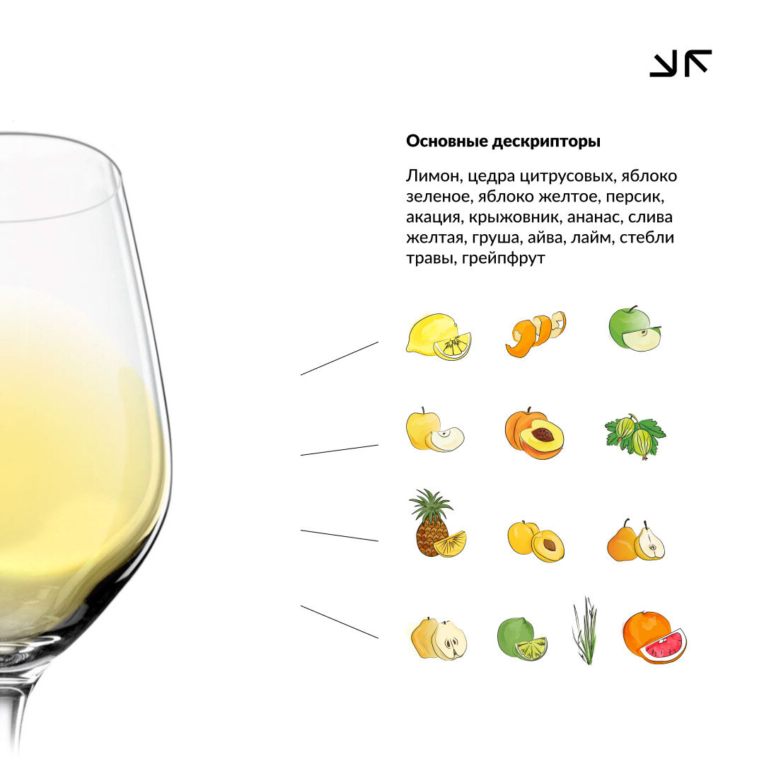 Международный день белого вина совиньон блан. Sauvignon blanc вино. Совиньон блан новая зеландия. Международный день белого вина совиньон блан. 26 мая международный день белого вина шардоне картинки.