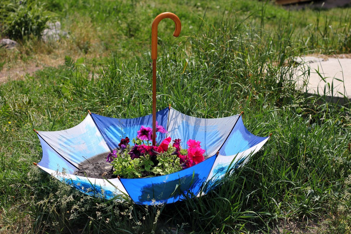 Яндекс картинки