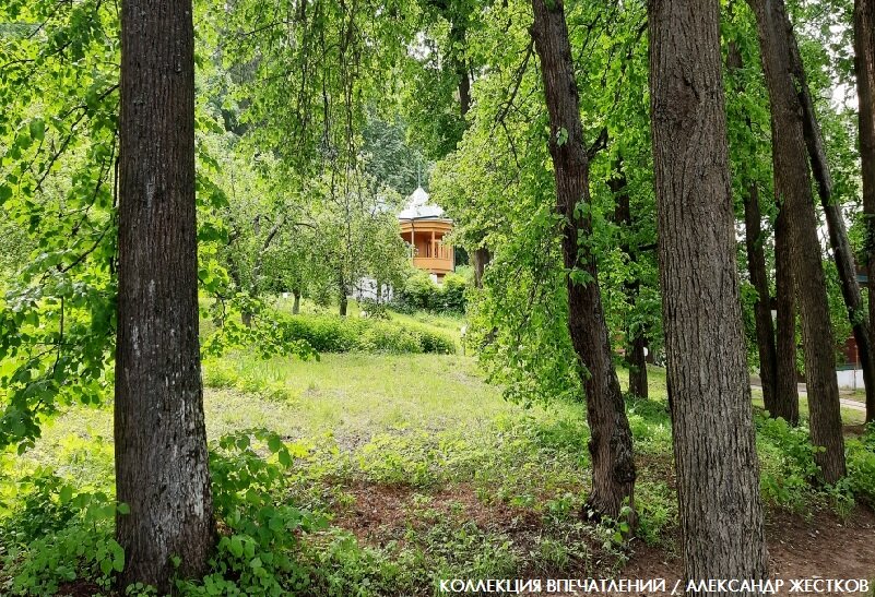 Дом и парк в усадьбе Михаила Пришвина в Дунине. Фото автора