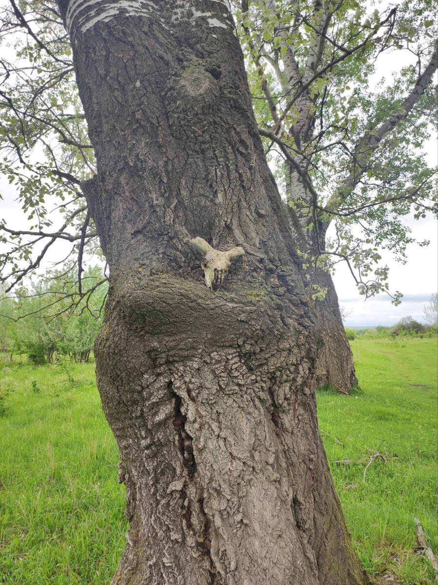 Он следит за теми, кто плохо себя ведет и ночью приходит за ними🙃