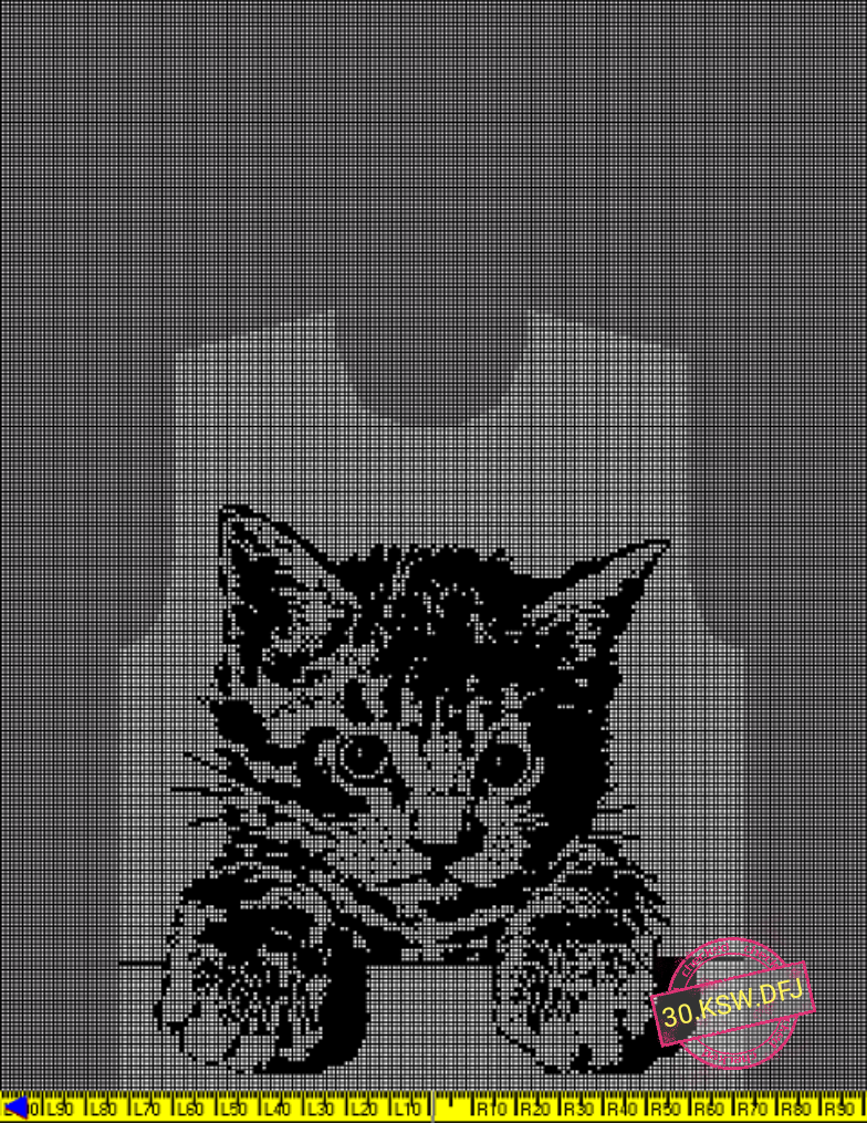 Какой хорошенький, пушистый котёнок