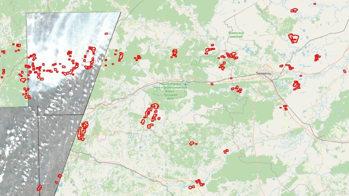     Власти рассказали о ситуации с пожарами в Тюменском районе. По словам главы муниципалитета Светланы Ивановой, к этому часу лесные пожары продолжают действовать в районе села Муллаши, деревень Речкина и Чаплык.