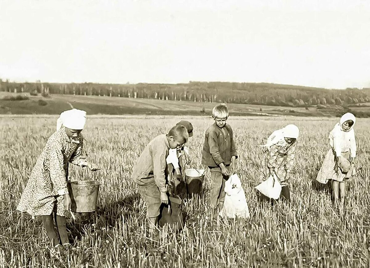 Великая сельская. Дети войны труженики тыла. Дети в тылу в годы Великой Отечественной войны. Труженики тыла тыл в годы Великой Отечественной войны в колхозе. Дети в тылу на полях в годы Великой Отечественной войны.