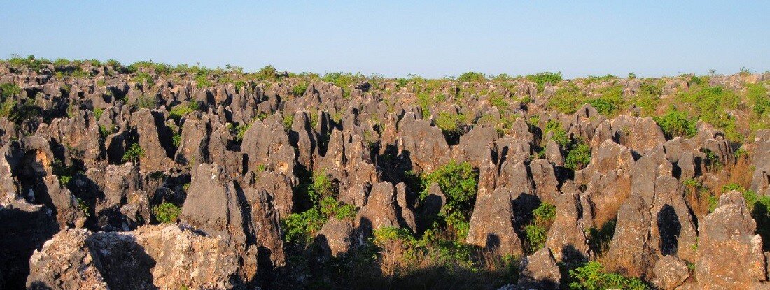 Фото: Wm Adams, billtrips.com. / insh.world 