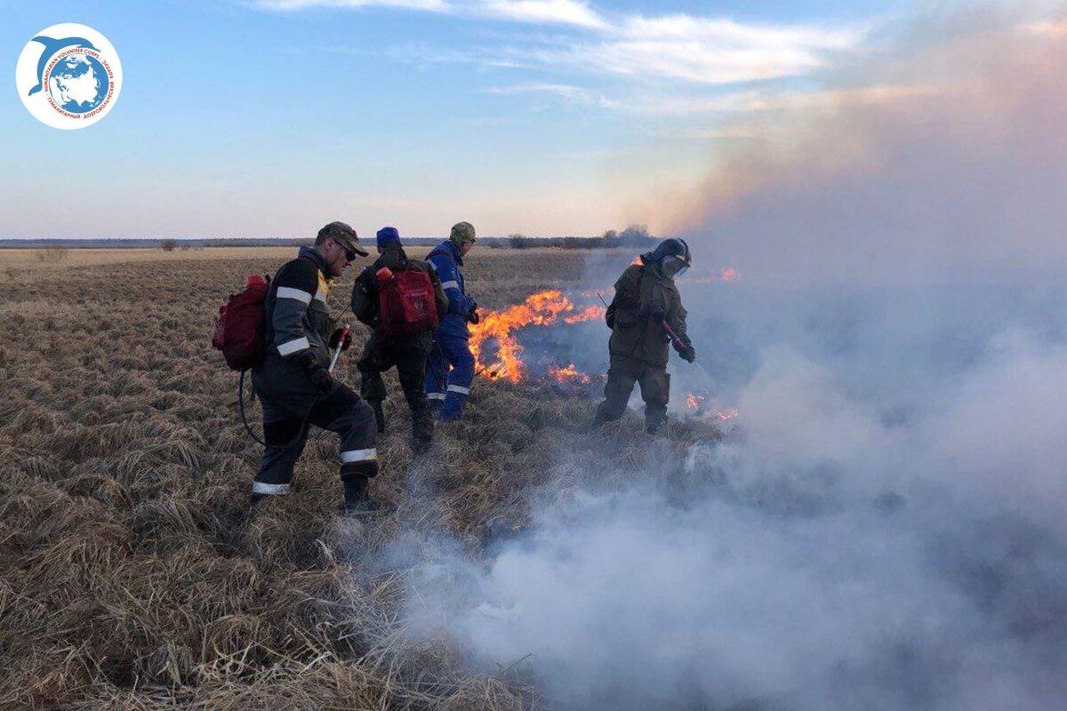    В Югре с начала пожароопасного сезона потушили 10 лесных пожаров