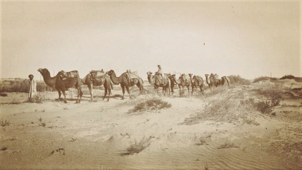 Караван верблюдов в пустыне. Перевозка соли. Центральная Азия. 1880–1890-ые гг. Из собрания Этнографического музея Казанского университета.