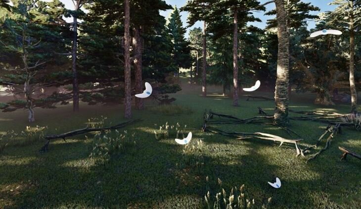    Биоразлагаемые дроны и планеры для мониторинга уже летят на картофельных крыльях