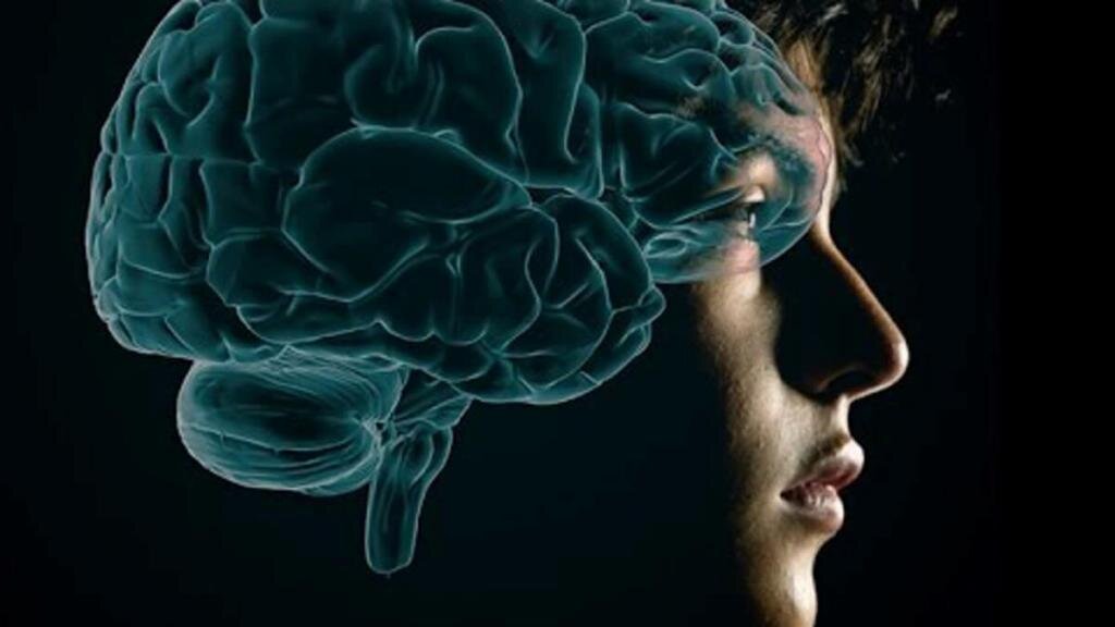 Картинка из открытых истгчников