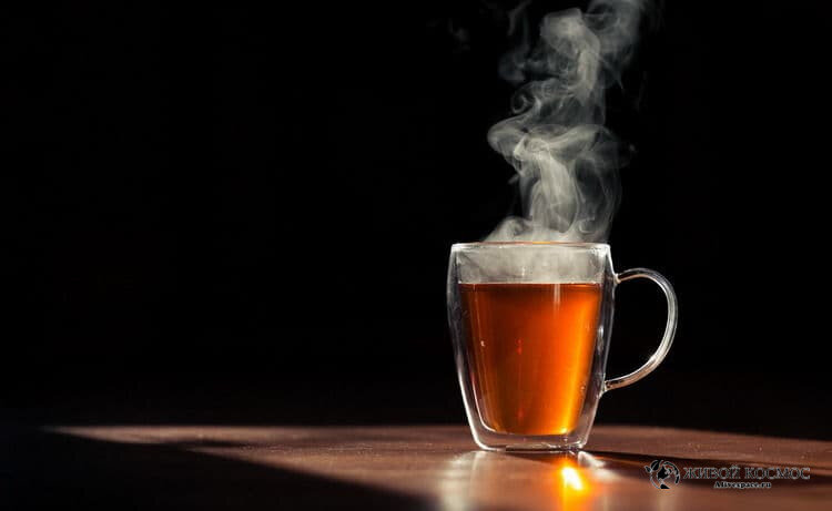      Чашка чая и «пар» над ней. Фото Изабелла Волкова.