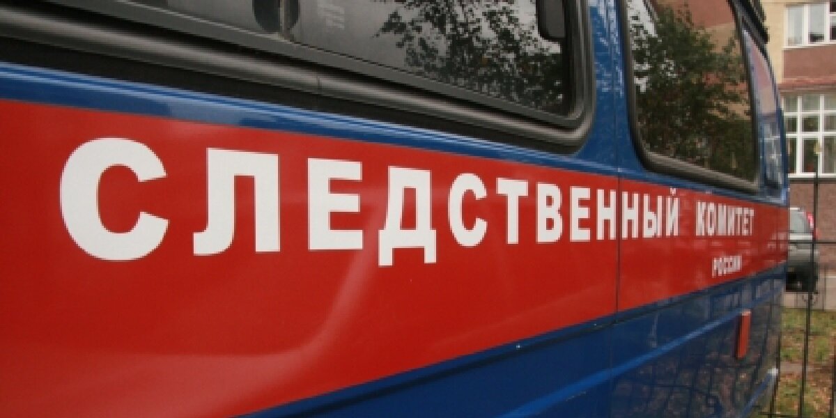 Фото: с сайта СК РФ (https://surb.sledcom.ru/upload/site51/document_news/IMG_8648-418×320.jpg)