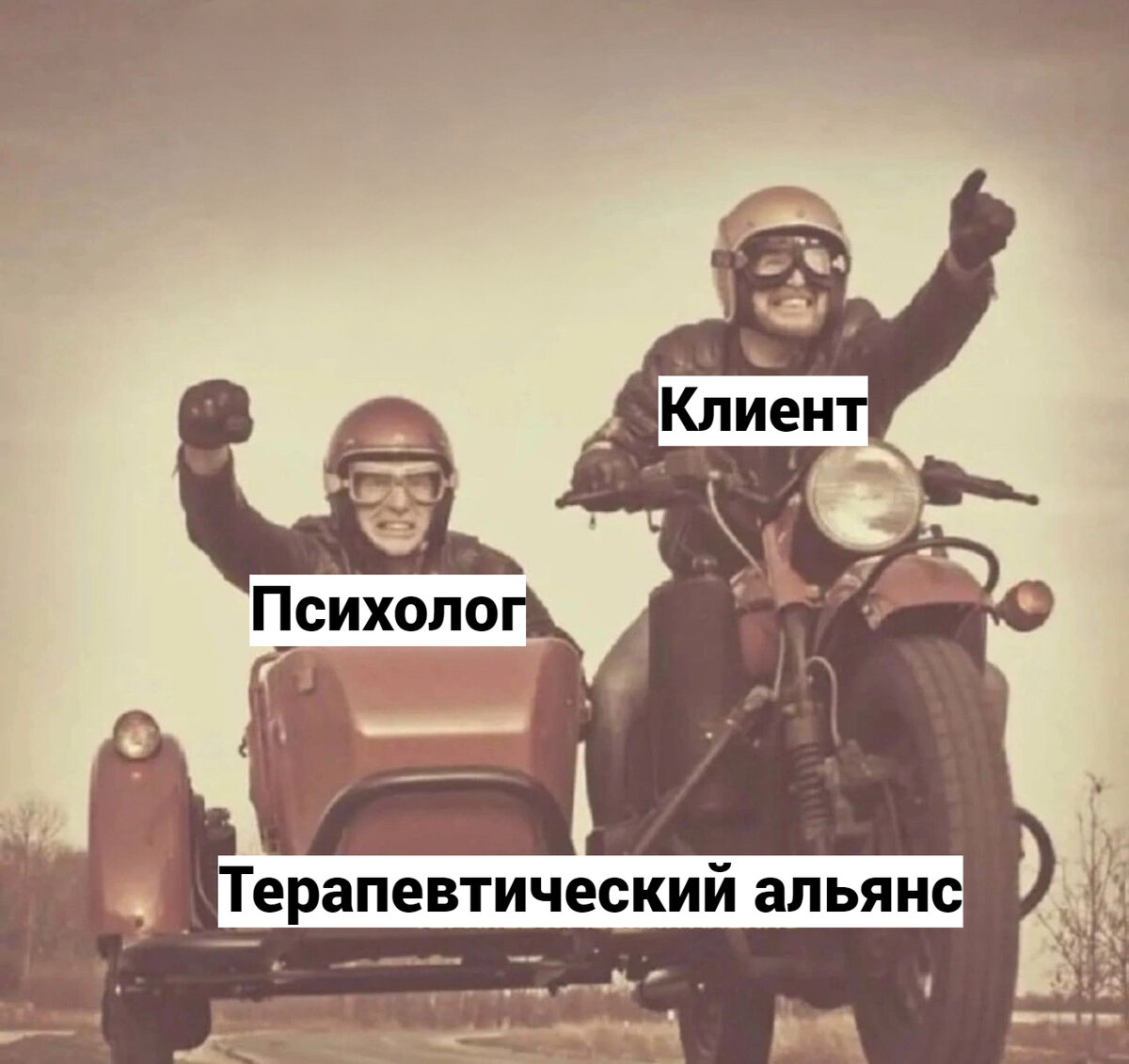 Терапевтический альянс психолога и клиента: что это такое, зачем и как его  выстраивать | Институт прикладной психологии в социальной сфере | Дзен