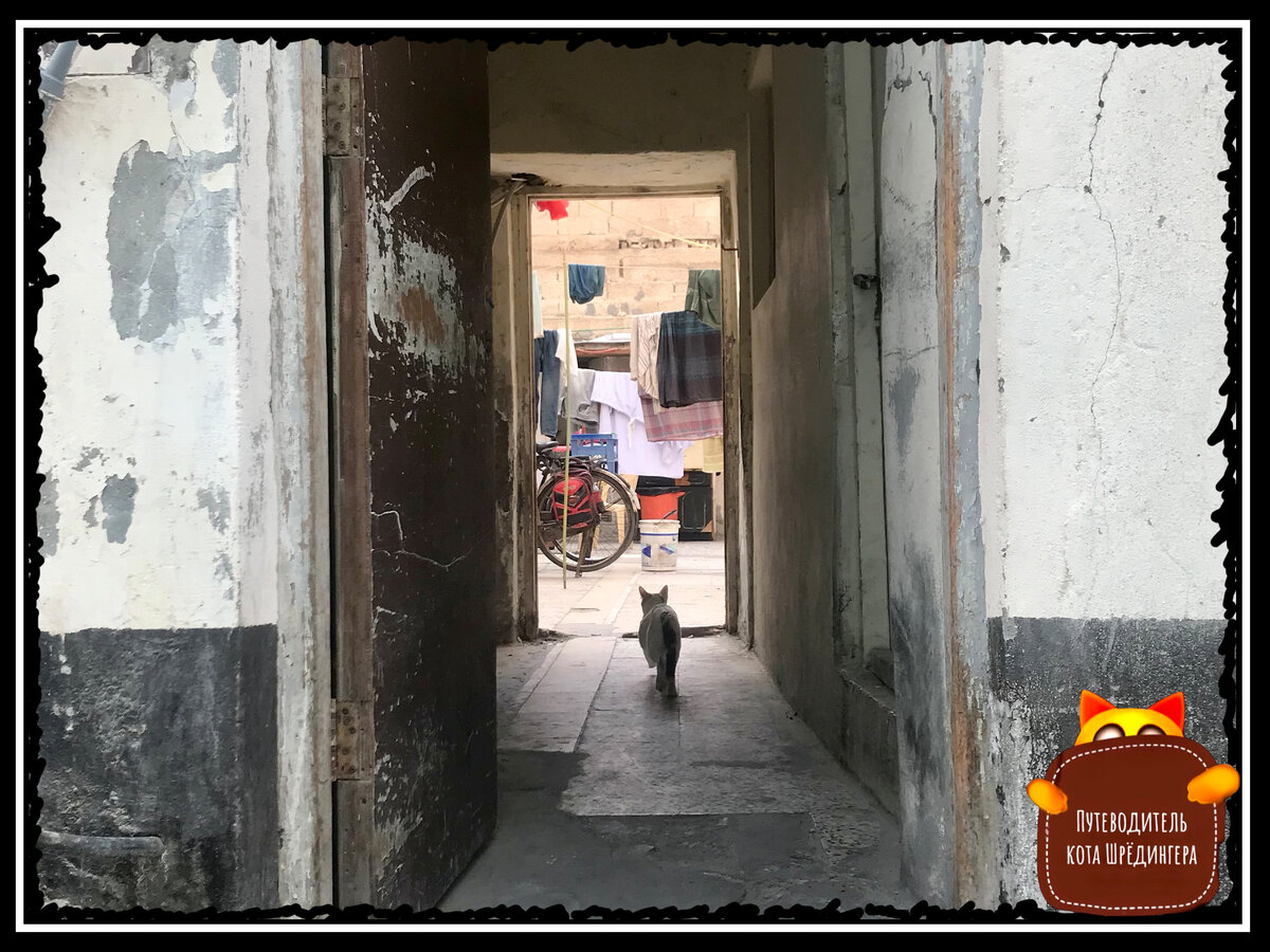 Дворик одного из домов на "Жемчужном пути" Бахрейна