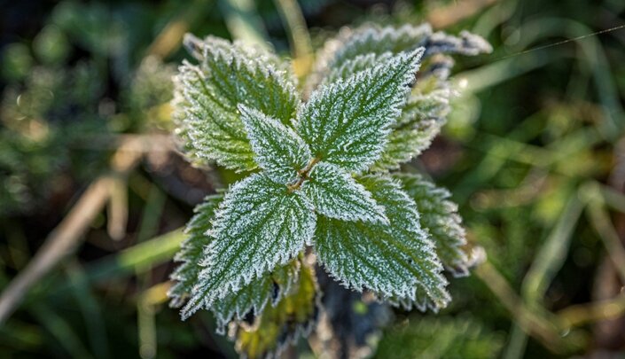 ФОТО: KONSTANTIN KOKOSHKIN/GLOBALLOOKPRESS