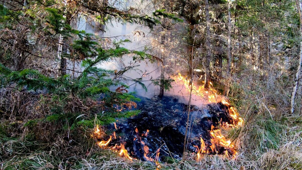 Фото из открытых источников