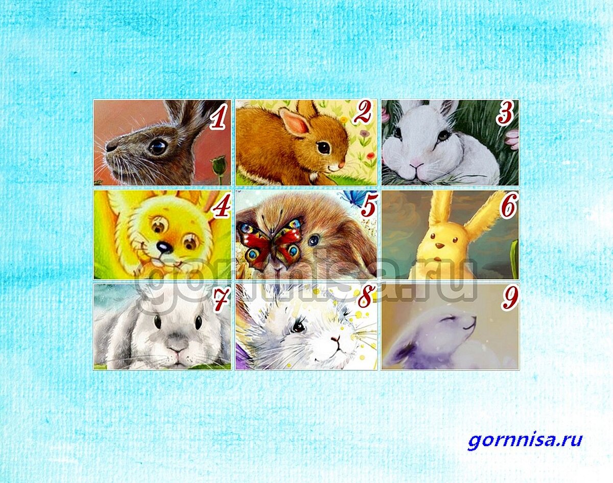    Тест прогноз на будущее - Выберите кролика Pavlov A