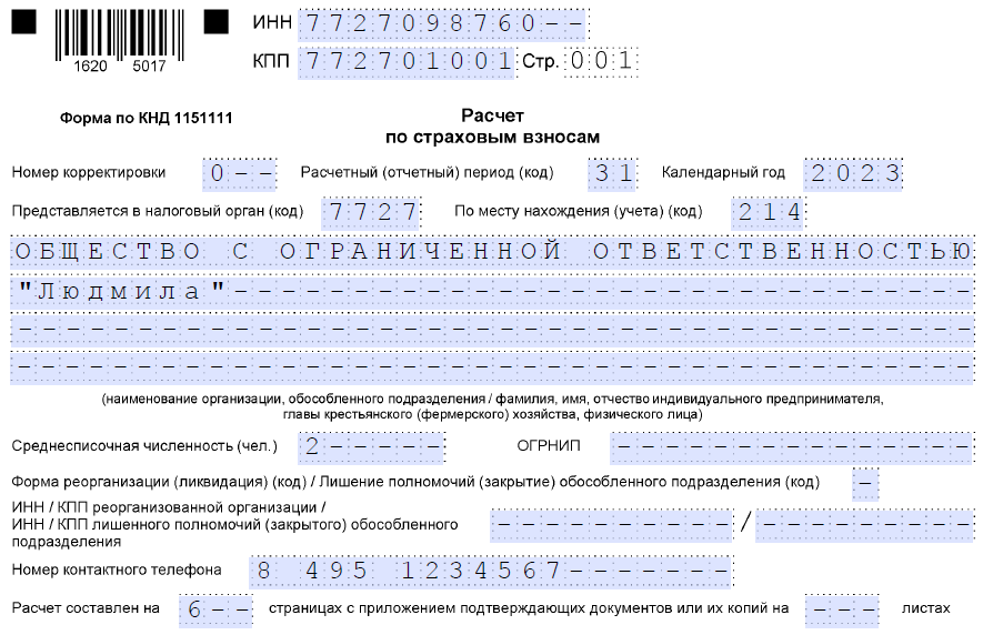 Рсв 1 квартал 2024 образец