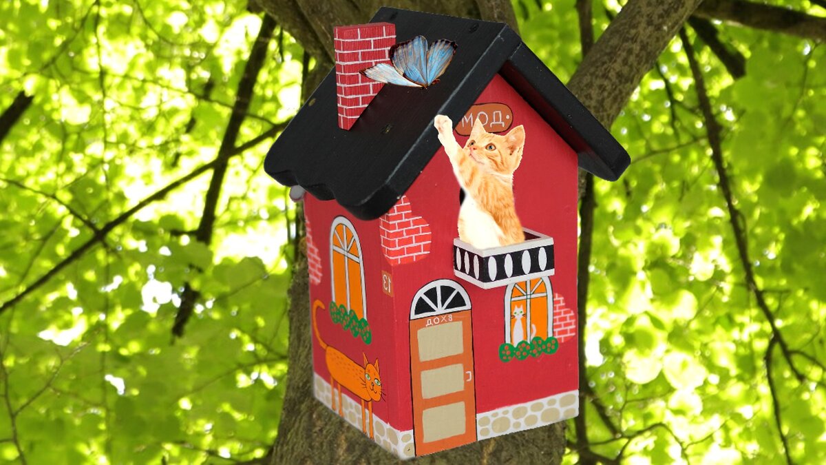 Котёнок и бабочка