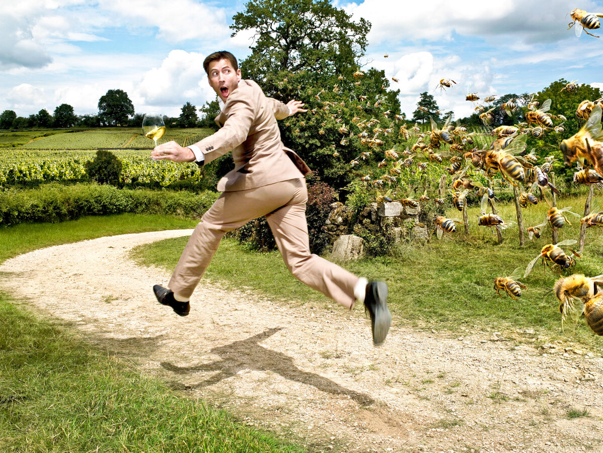 Первое правило при бегстве от нападения пчёл — не закрывайте своё лицо полностью, так как вам необходимо видеть, куда вы бежите