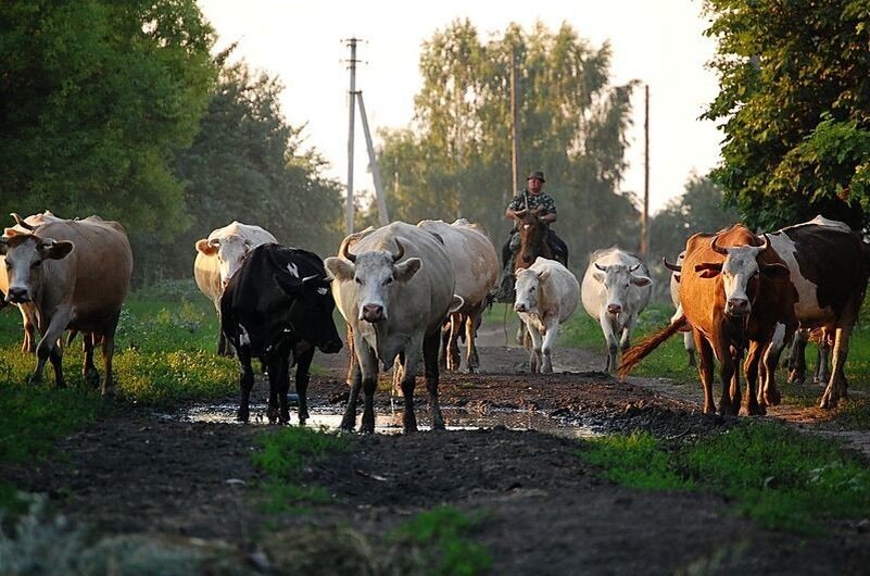 Фото из открытых источников