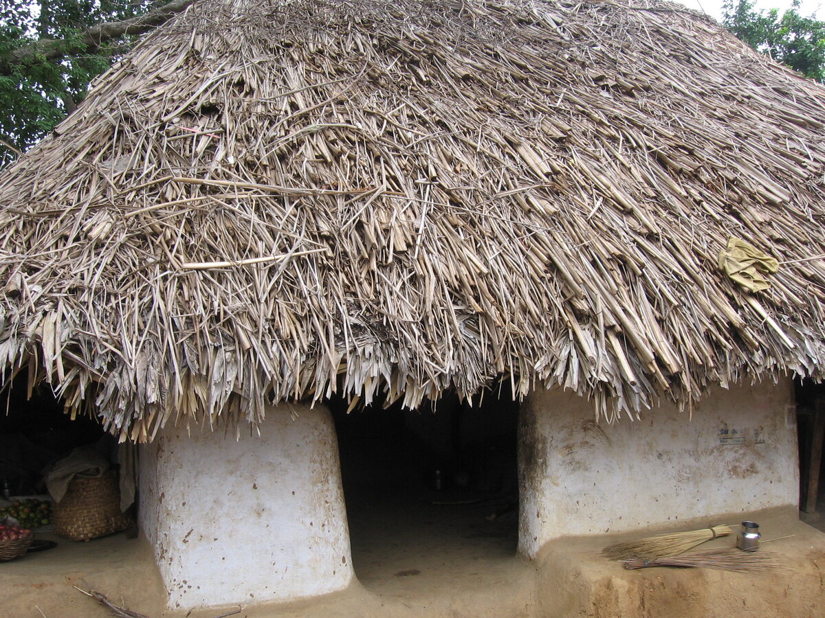 Фотография из личного фотоархива, Индия 2005 год.