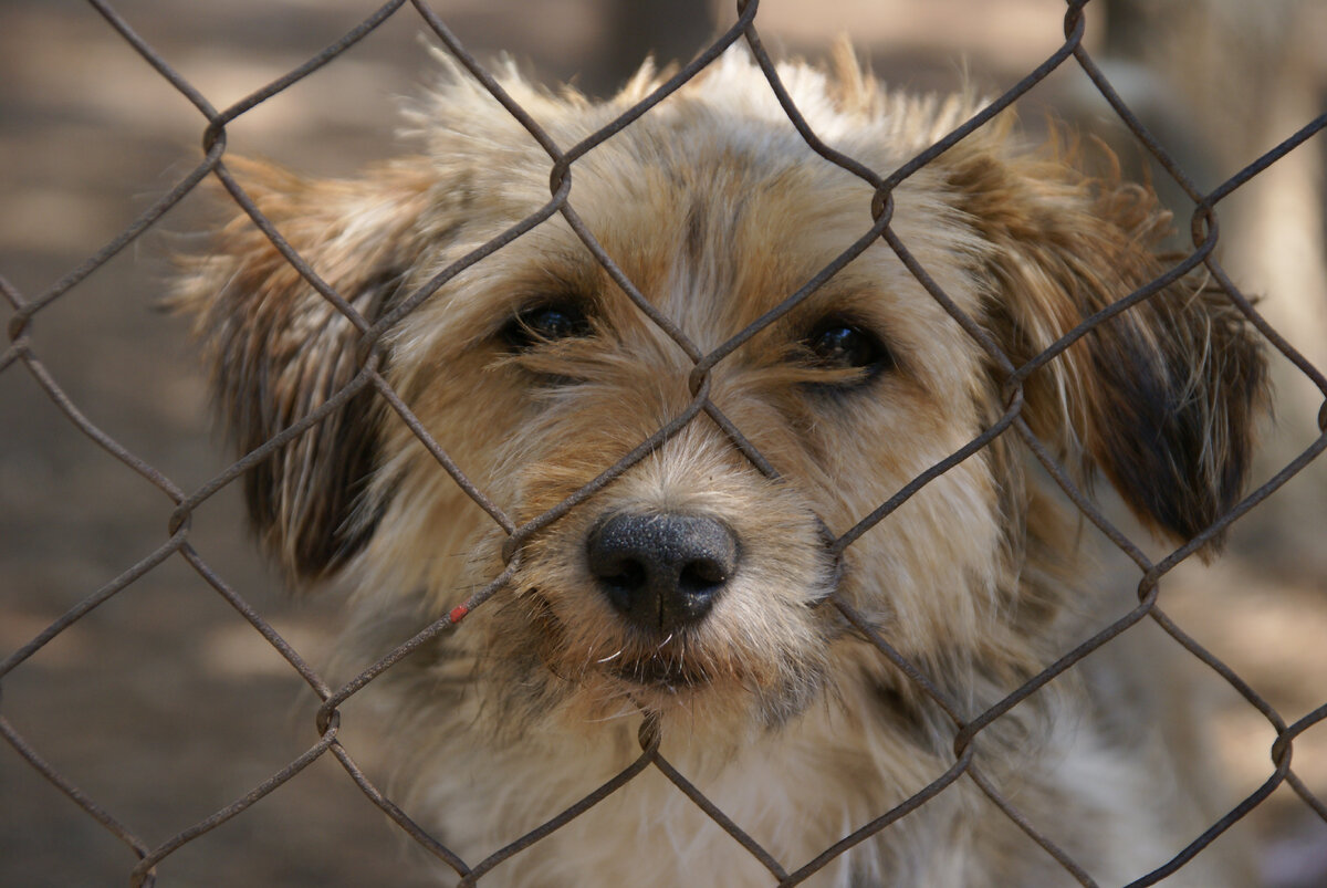 Так выглядит со стороны любой человек, у кого болит душа и стонет сердце