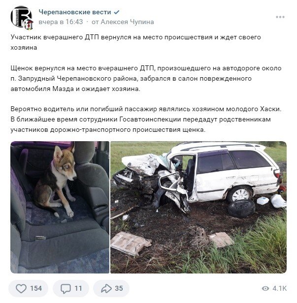 70 дтп происходят по вине кого