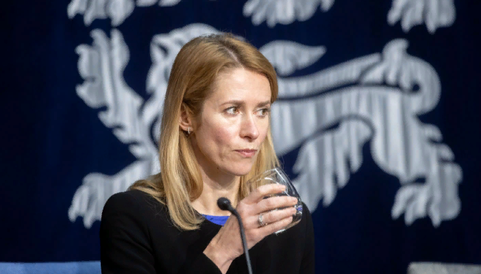 Какая гадина сказала тут про вотум? (фото с сайта rus.postimees.ee)