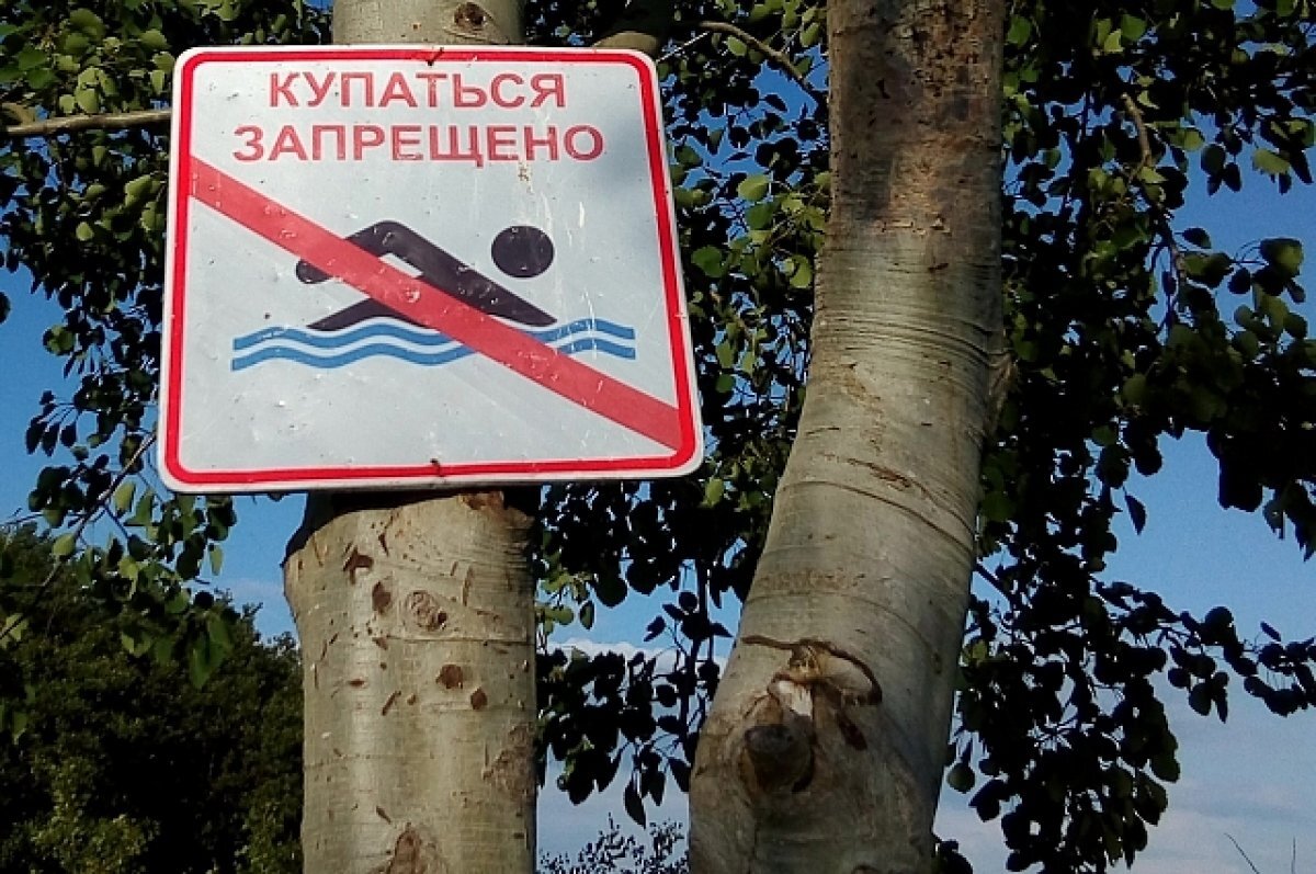    Ребенок утонул в реке Великой в Пскове