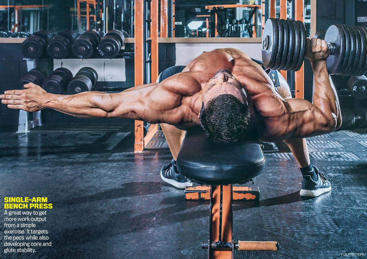 Источник фотографии: Яндекс картинки  