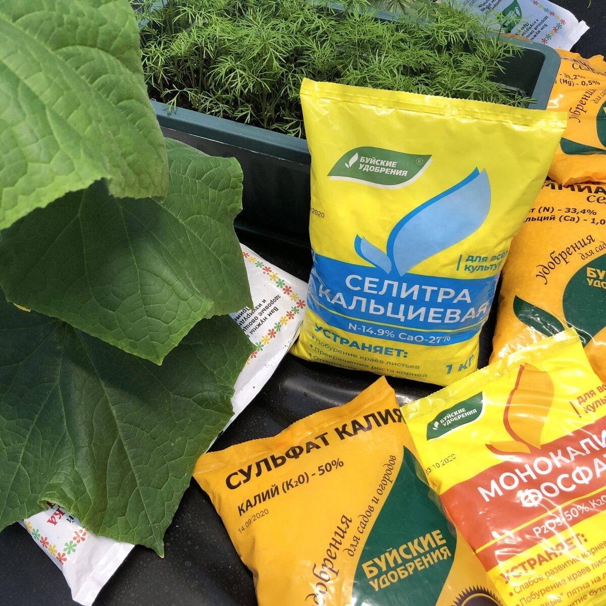 Кальциевая селитра. Лучше применять отдельно. | Буйские Удобрения | Дзен