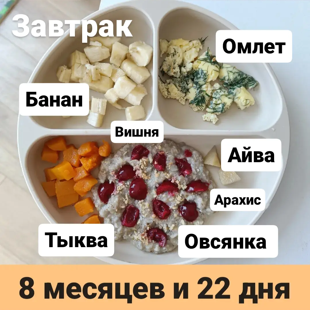 Прикорм. Тарелка 8 месяцев и 22 дня. Завтрак. | В поисках дома ❤️ Вьетнам  🇻🇳 Нячанг | Дзен