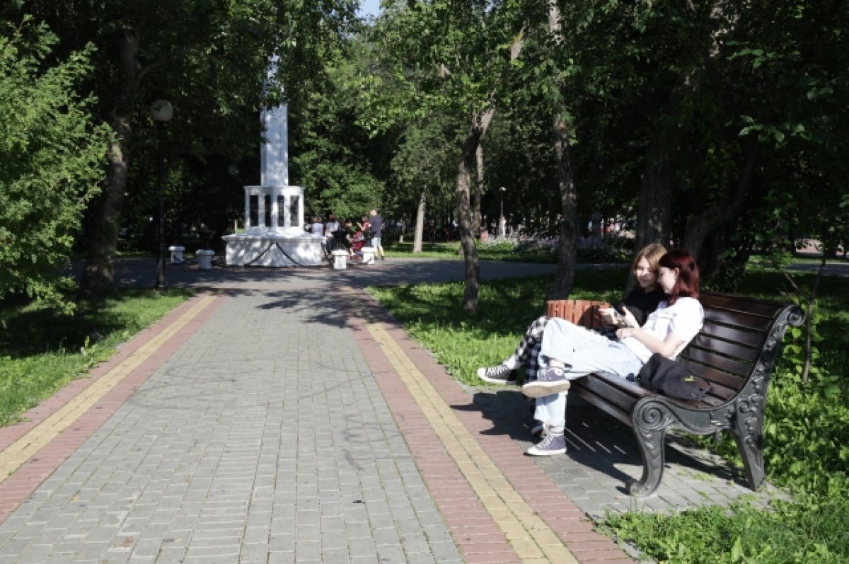    В Томске в июле и августе активизируются комары и мошки