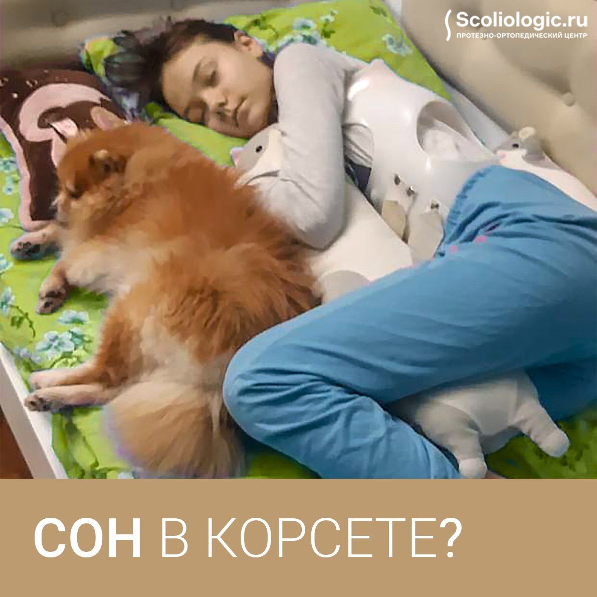 Сонник корсет