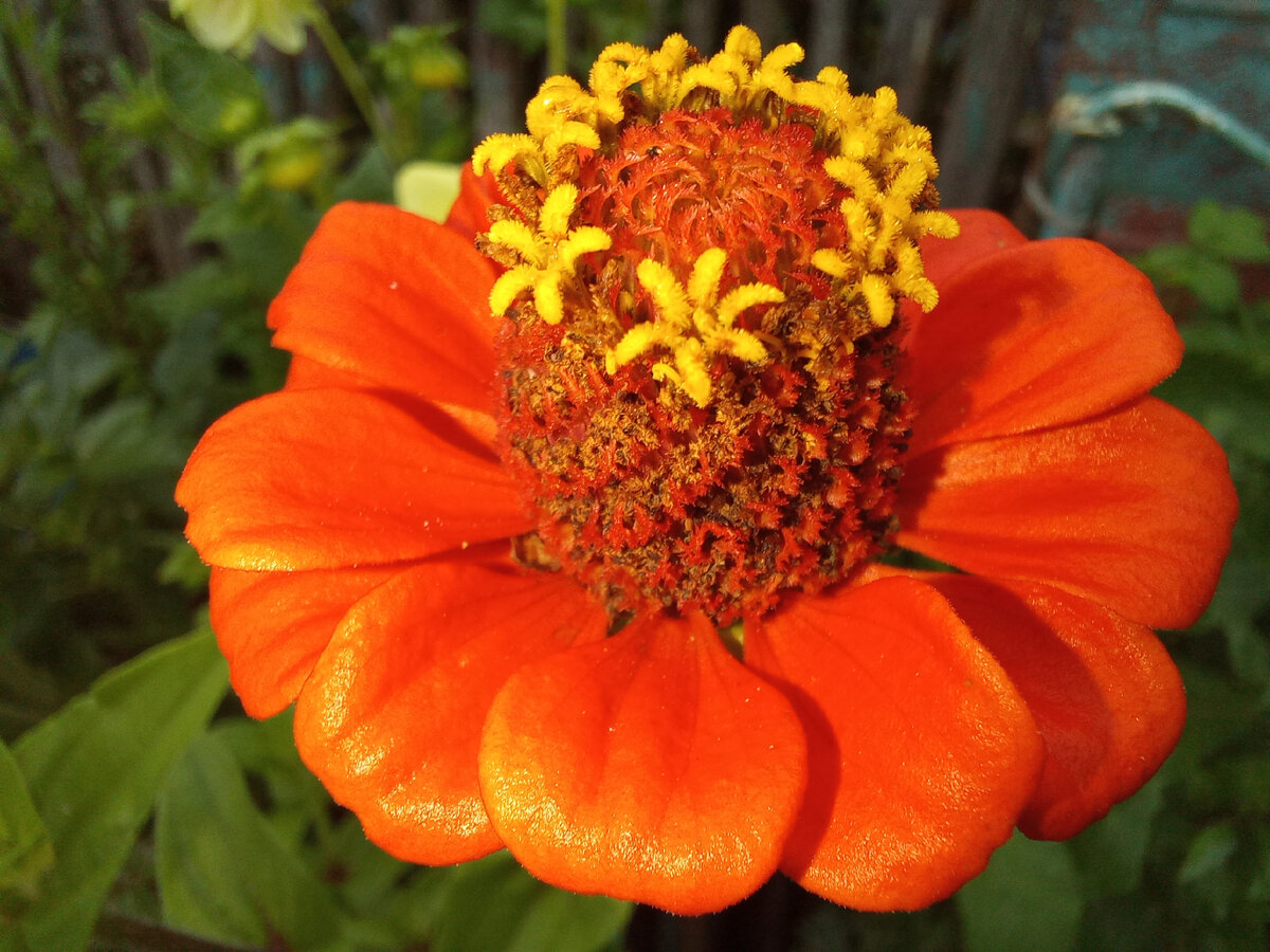 Фото из архива автора