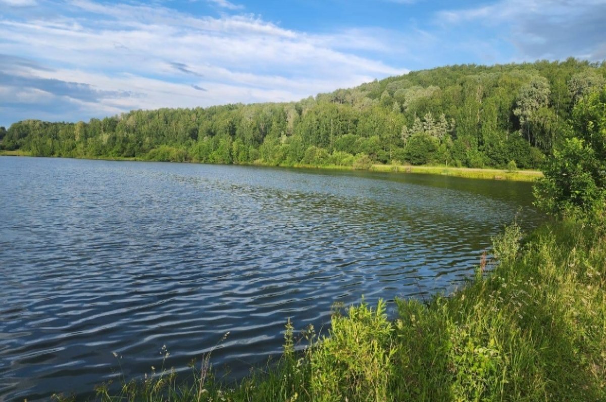    В Красноярском крае семейная пара утонула в пруду