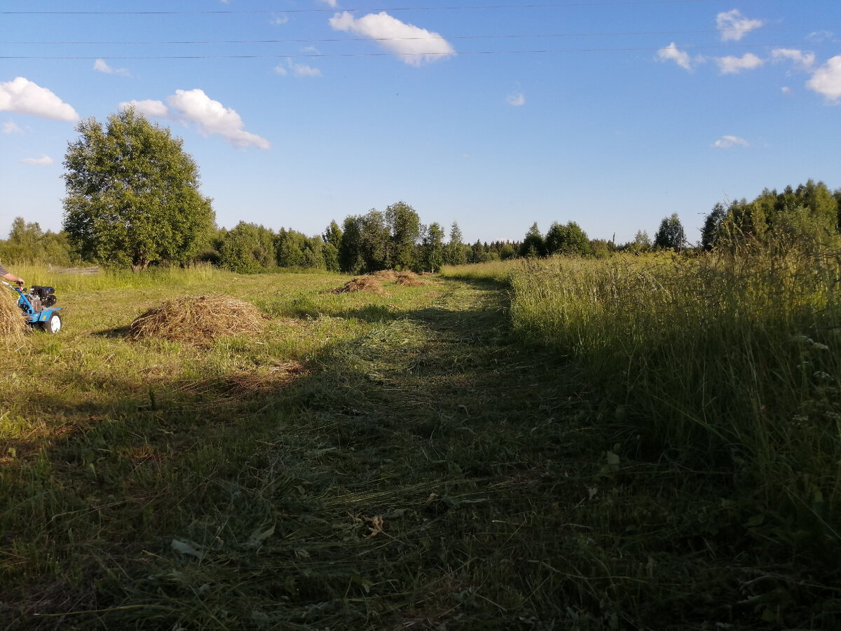 селижарово в 1985. между городом и деревней дзен. заросший огород. селижарово ул. живая деревня.