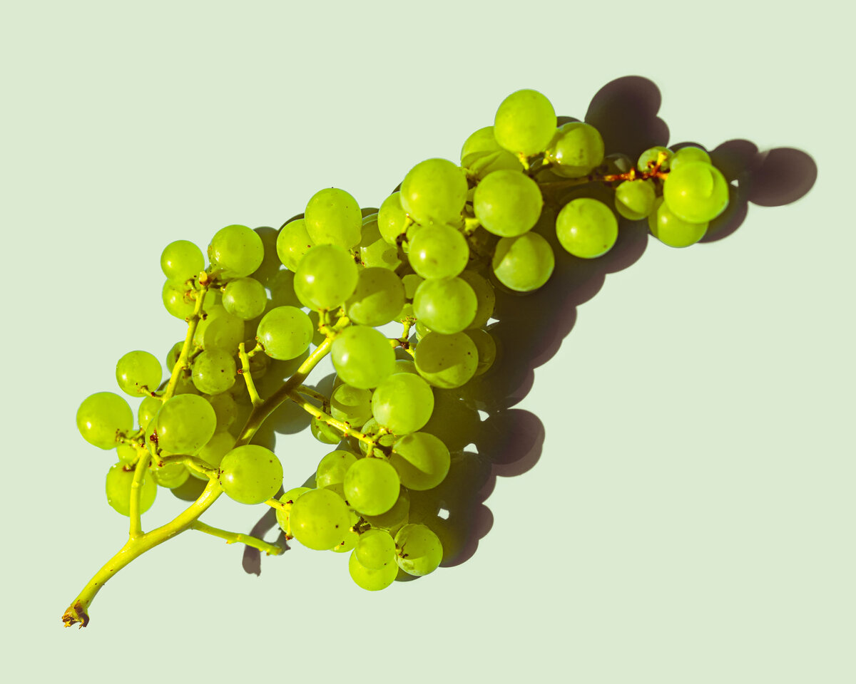 Кокур белый – это автохтонный виноградный сорт, который произрастает исключительно на Крымском полуострове.-2