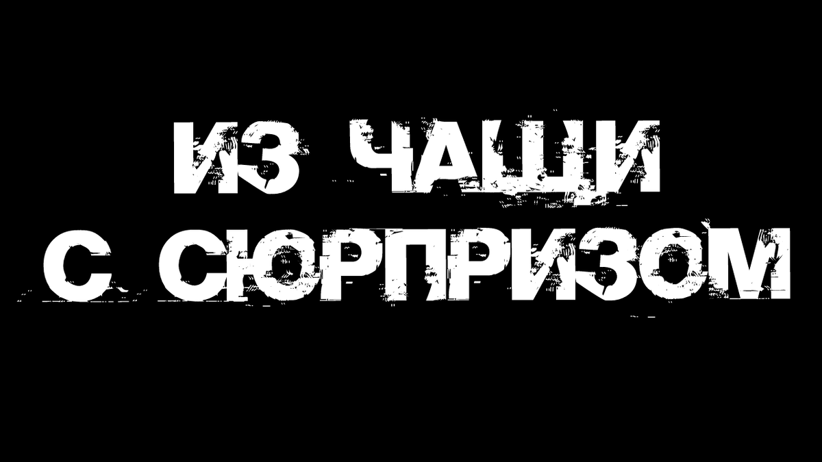 Из чащи с сюрпризом | Страшилки от Чеширки | Дзен