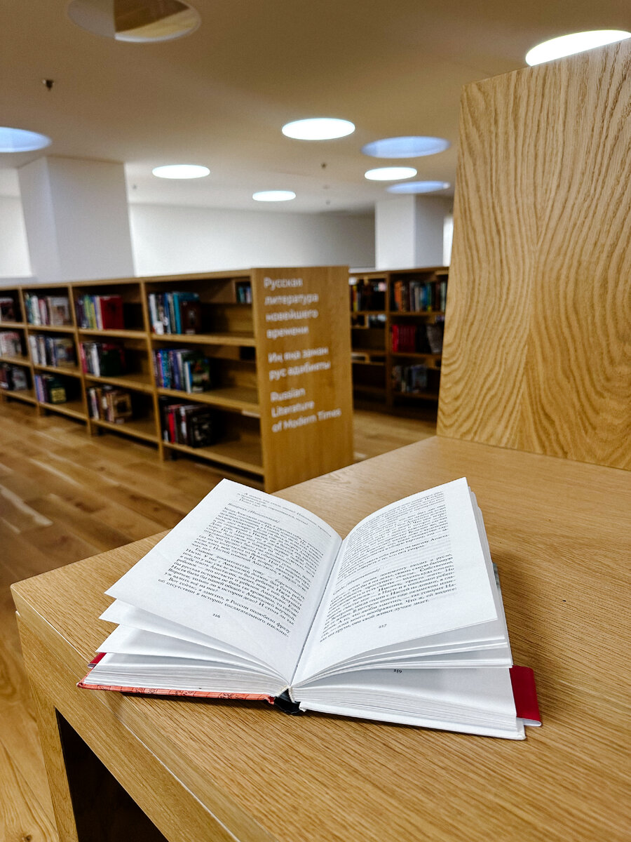 «Авиатор», Евгений Водолазкин | Диана | За рулём с книгой | Дзен